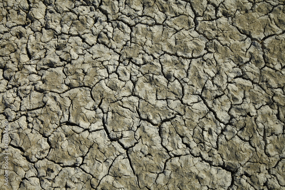 Climate warming dry chapped land Climate warming dry chapped land