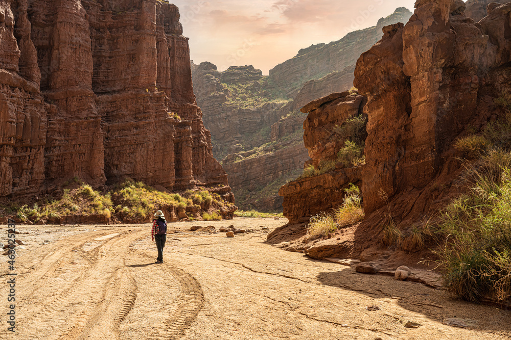 A female hiker stand under the sandstone canyon in Wensu, Xinjiang, China.