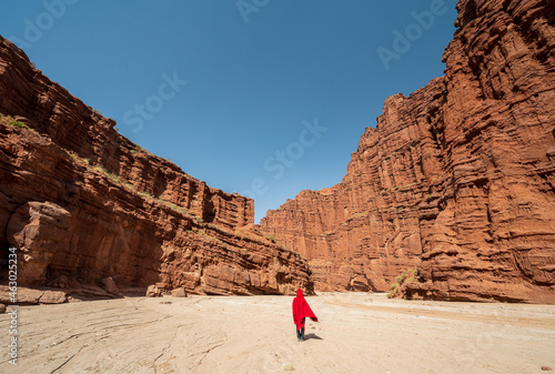 A female hiker stand under the sandstone canyon in Wensu, Xinjiang, China. photo