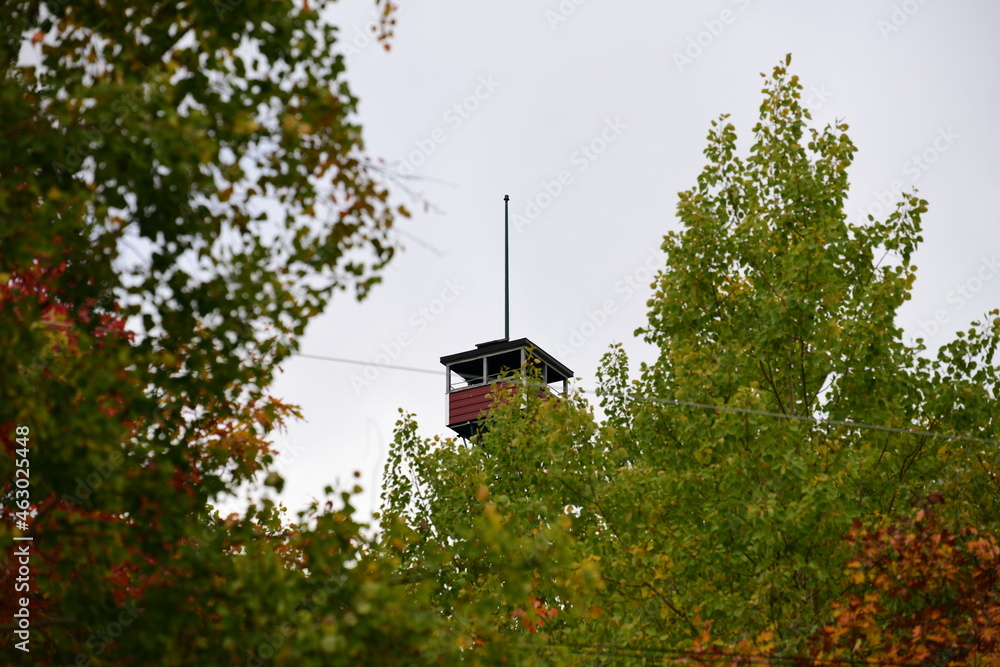 fire tower in the forest