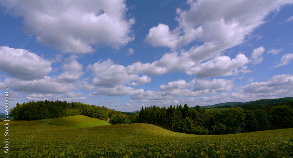 Landschaft in Niederösterreich, Krumbach in der buckligen Welt Landschaft in Niederösterreich, Krumbach in der buckligen Welt