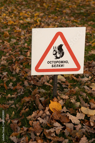 Public sign with a squirrel silhouette and an inscription in Russian "Caution of squirrels!" on autumn lawn vertical orientation