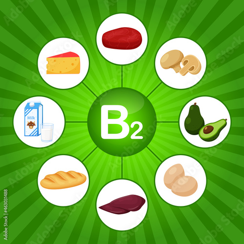 A square poster with food products containing vitamin B2. Riboflavin. Medicine, diet, healthy eating, infographics. Flat cartoon food elements on a bright green background with sunbeam.