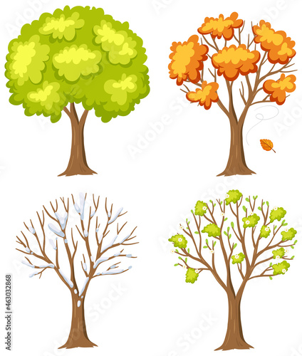 Set of tree in different season