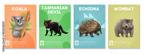 Australian Animals Poster Set