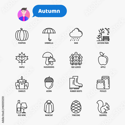 Autumn thin line icons set. Maple, mushrooms, oak leaves, apple, pumpkin, umbrella, rain, candles, acorn, rubber boots, raincoat, pinecone, squirrel. Modern vector illustration.