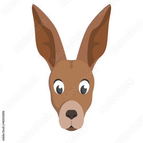 Kangaroo face front view. Animal head in cartoon style. © KurArt