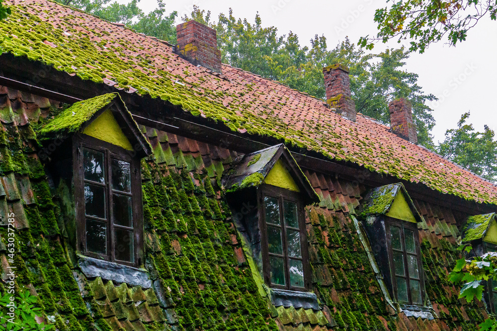 Roof with windows of an old house with red roofing tiles covered with moss 
