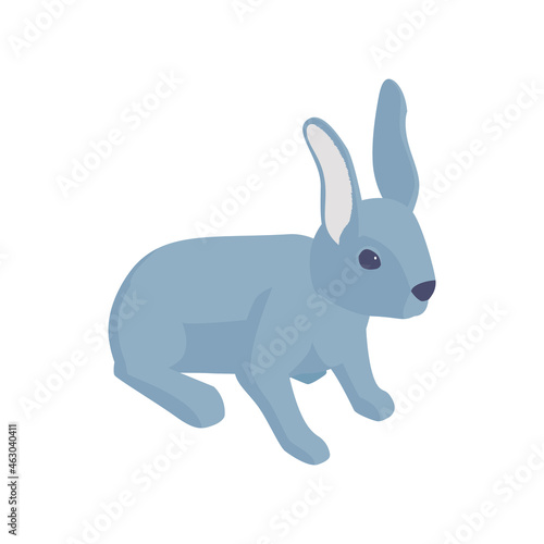 Rabbit Isometric Illustration