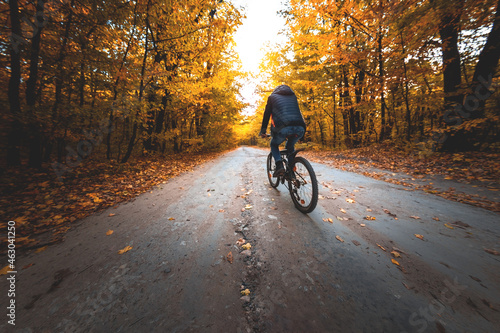 A man on a bicycle rides along the road in the autumn forest in the evening at sunset
