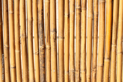 Fence made of natural bamboo  natural background.