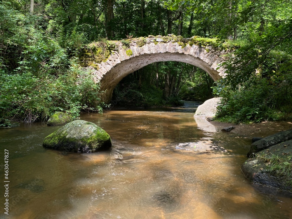 Old bridge of the Ribeyrolles in Gorges of the monne river in the green forest, Puy-de-Dôme, Auvergne