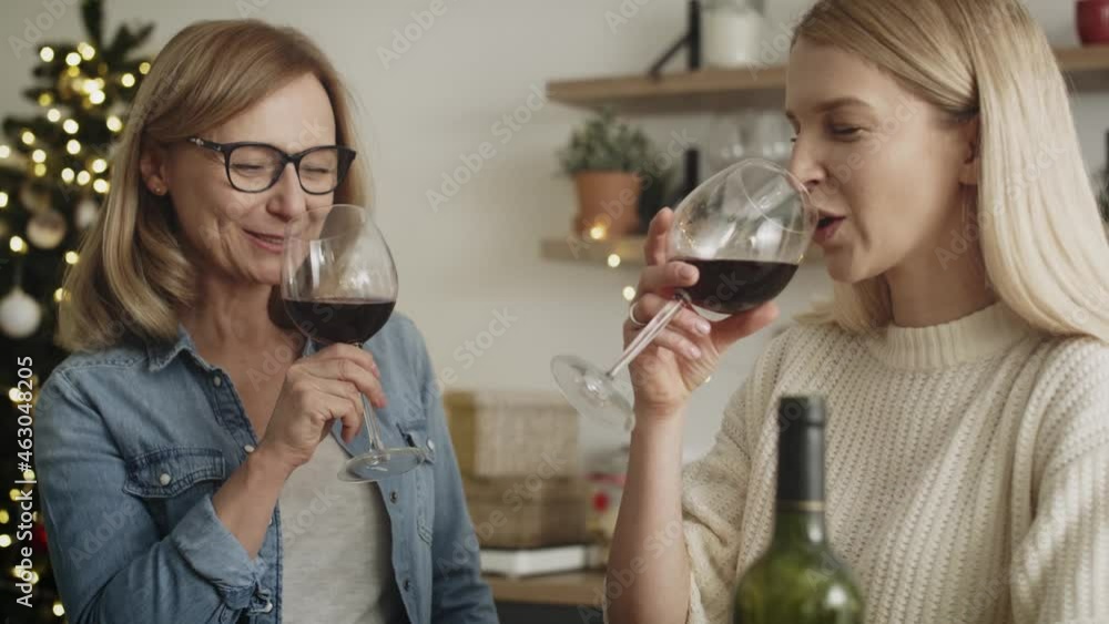 Video of two women celebrate a toast during Christmas. Shot with RED helium camera in 8K. Video of two women celebrate a toast during Christmas. Shot with RED helium camera in 8K.