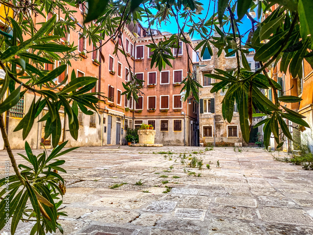 View of a small square in Venice without anyone, through the leaves. Italy