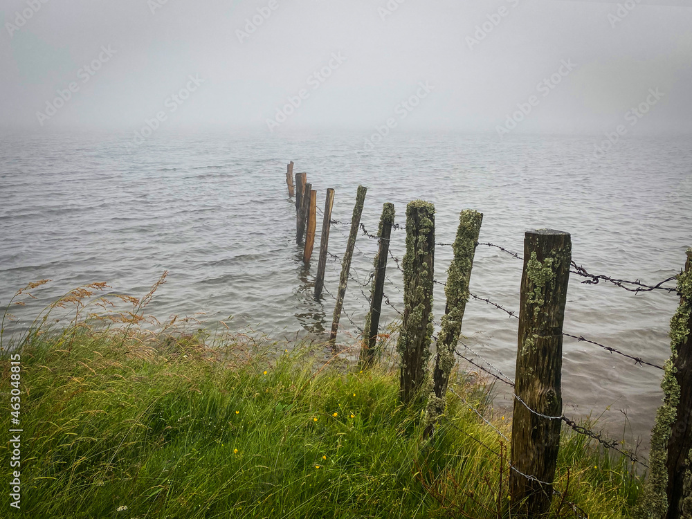 morning mist on Servieres lake, some wooden fences post in water, Puy de dome, auvergne, France