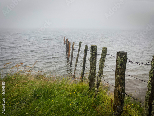 morning mist on Servieres lake, some wooden fences post in water, Puy de dome, auvergne, France