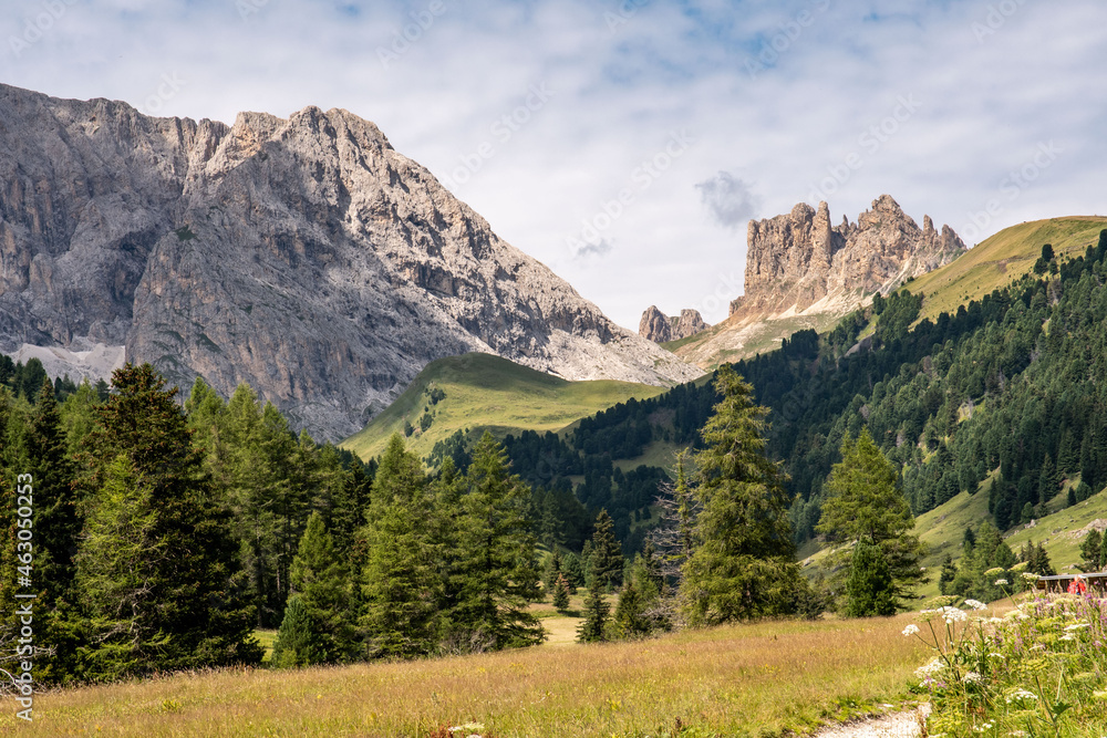 View of the Catinaccio-Rosengarten Dolomites group seen from Val Duron, Val di Fassa.