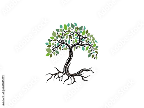 olive tree logo