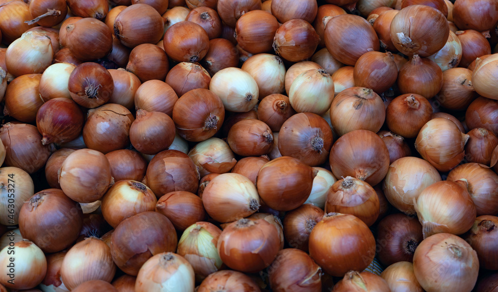 Real food backround: brown and yellow onions. Horizontal shot. Close up Real food backround: brown and yellow onions. Horizontal shot. Close up