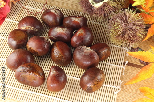 秋の味覚 複数の愛媛産の利平栗と紅葉といがぐり