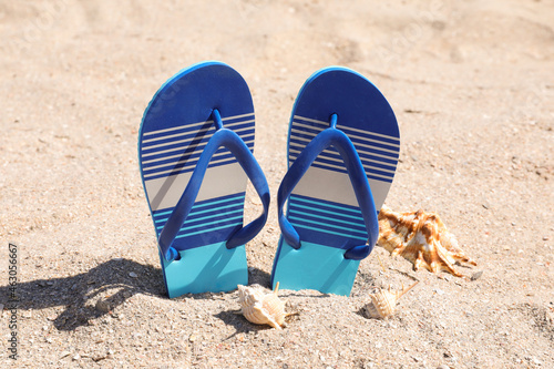 Stylish flip flops and seashells on sand