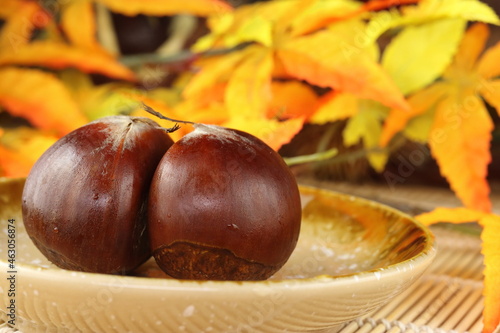 秋の味覚 愛媛産の利平栗と紅葉