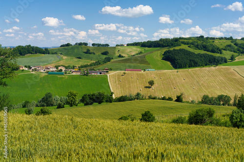 Rural landscape near Sala Baganza and Torrechiara, Parma, at springtime photo