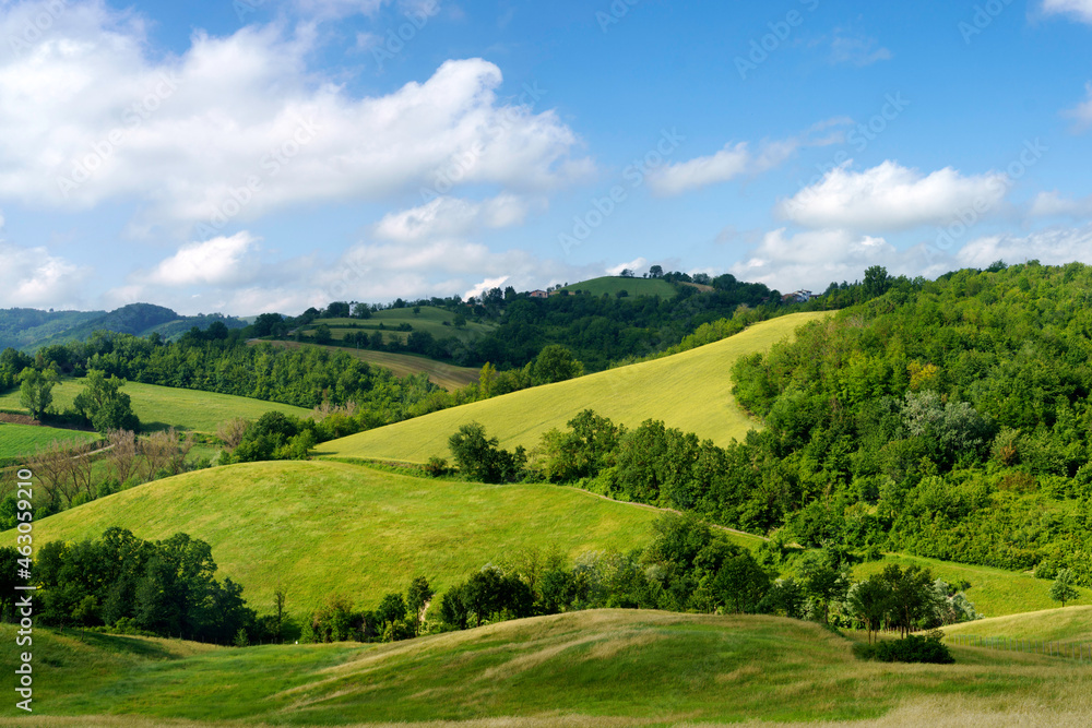 Fototapeta premium Rural landscape near Salsomaggiore, Parma, at springtime