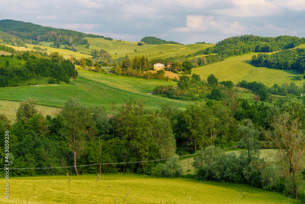 Rural landscape near Salsomaggiore, Parma, at springtime