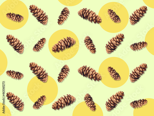 Fir cones pattern on a yellow background. Background with circles.