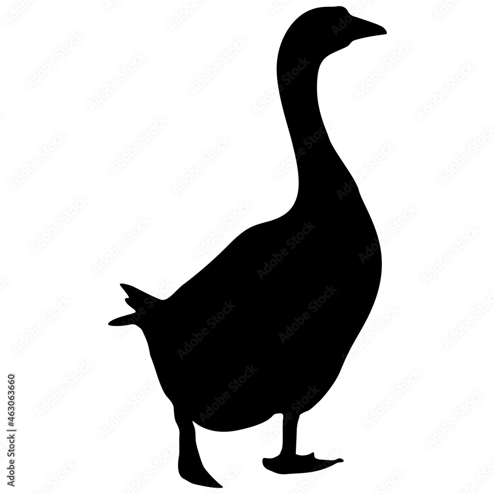 Silhouette of a grey goose on a white background - obrazy, fototapety, plakaty 