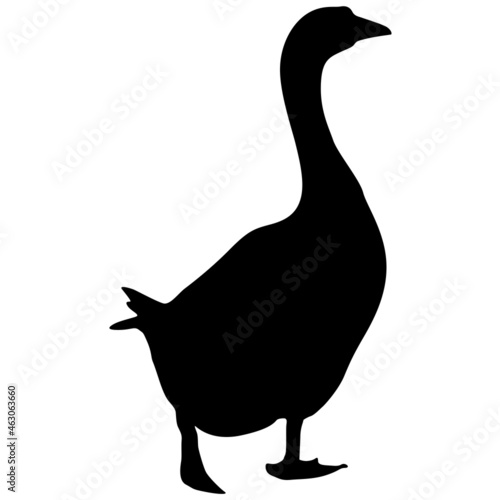 Fotografie, Tablou Silhouette of a grey goose on a white background