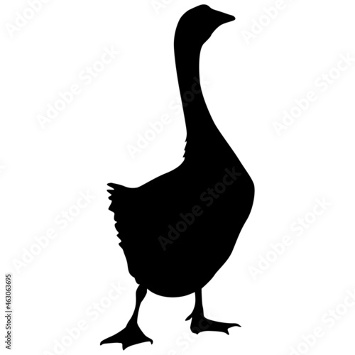 Silhouette of a grey goose on a white background