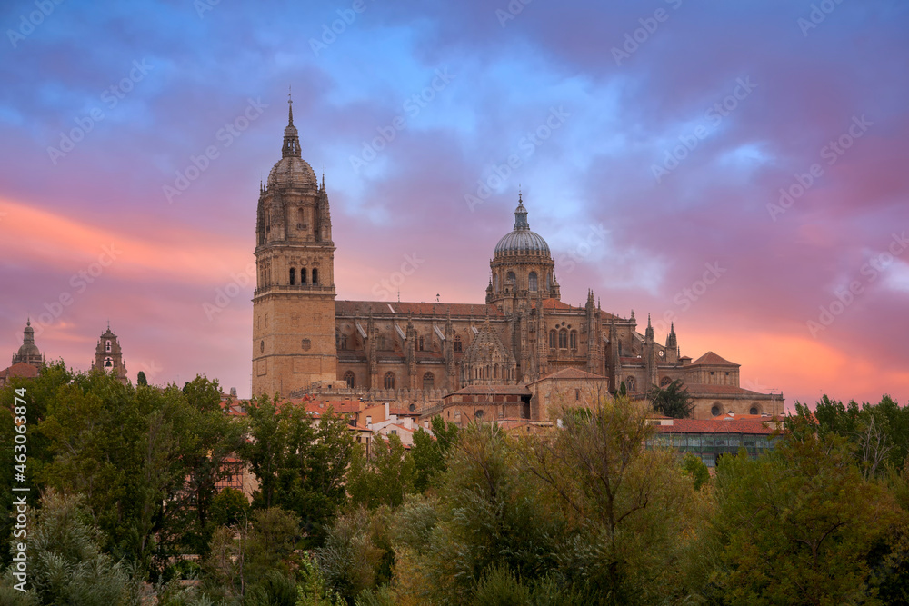 hermosa catedral de la ciudad de Salamanca, España