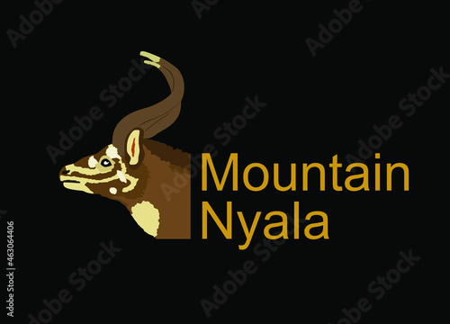 Mountain Nyala head vector illustration isolated on black background. Tragelaphus buxtoni. Safari animal. Beautiful deer antelope. photo