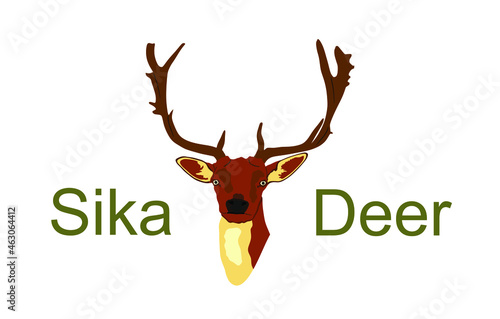 Deer head vector illustration isolated on white background. Sika deer head symbol, proud Noble Deer male in forest or zoo. Powerful buck with huge neck and antlers standing. Red deer. 