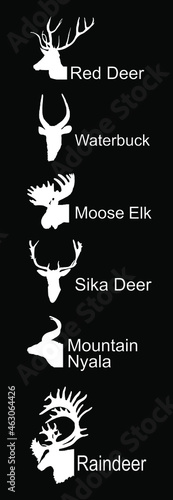 Deer head collection vector silhouette illustration isolated on black. Mountain nyala antelope. Moose elk. Reindeer buck. Red deer grassing. Waterbuck african deer. Sika symbol. Safari trophy antlers.