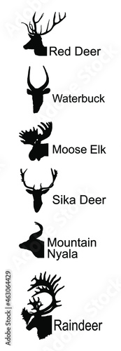 Deer head collection vector silhouette illustration isolated on white. Mountain nyala antelope. Moose elk. Reindeer buck. Red deer grassing. Waterbuck african deer. Sika symbol. Safari trophy antlers.