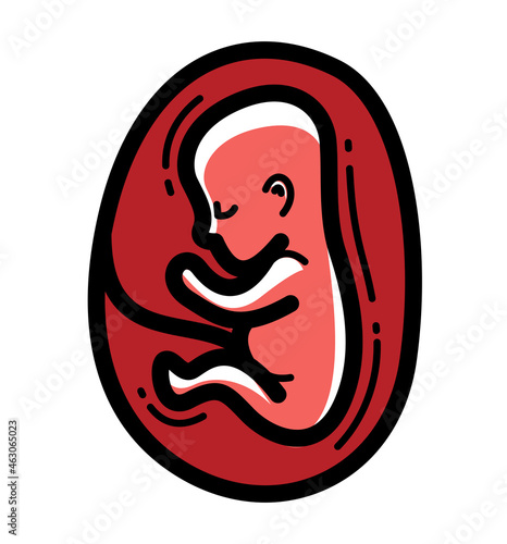Human fetus embryo womb unborn child vector linear icon isolated on white background.