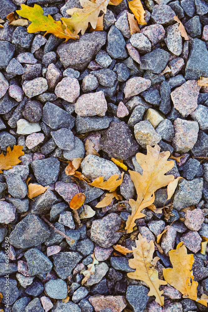 Top view of gravel texture for background with many autumn orange leaves which fall on small gray pebbles in outdoors. autumnal concept