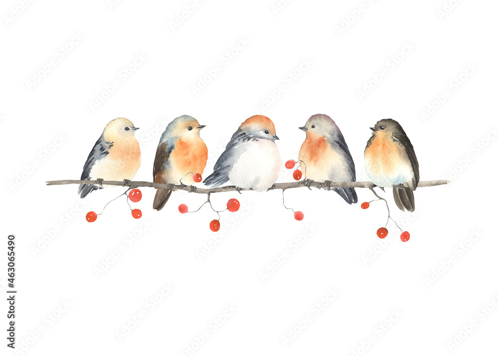 Christmas or autumn card of cute birds sitting on branch with berries, watercolor horizontal border isolated on white background for your design invitation or greeting cards, wedding, wildlife garden.