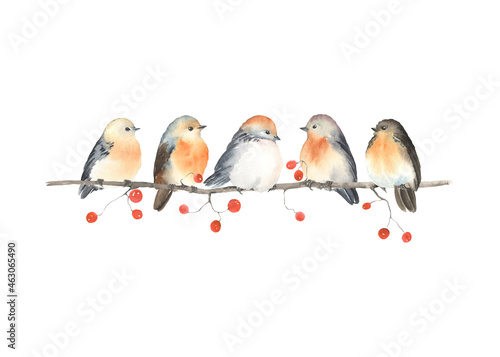 Fotografiet Christmas or autumn card of cute birds sitting on branch with berries, watercolor horizontal border isolated on white background for your design invitation or greeting cards, wedding, wildlife garden