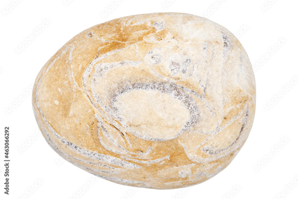 Top view of single yellow pebble