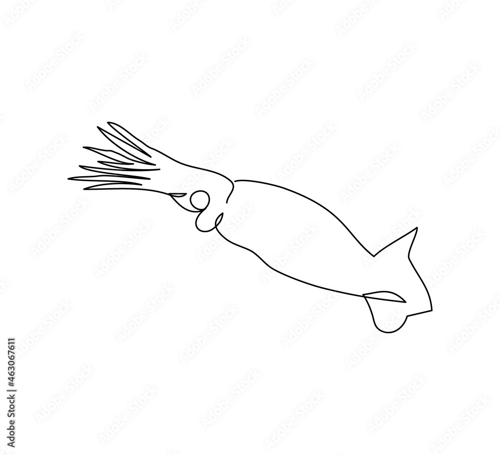 Squid, mollusk continuous line drawing. One line art of fish, seafood, marine animals. Squid, mollusk continuous line drawing. One line art of fish, seafood, marine animals.