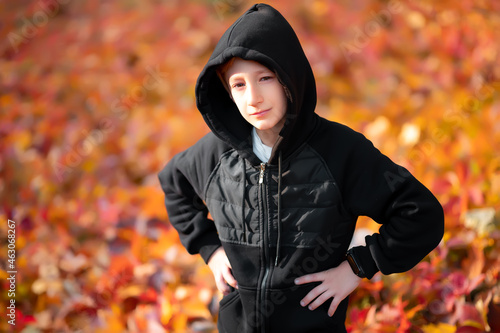 boy in a black sweater with a hood on a background of fallen autumn leaves. © Roman