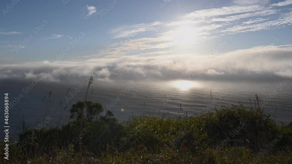 Rolling California Redwood Coastal Fog Rolling California Redwood Coastal Fog