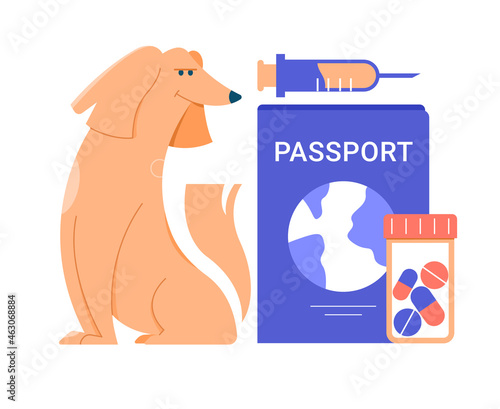 The dog sits next to a giant passport, a syringe and a jar of pills. Vaccination and pet health care, veterinary medicine. Traveling with the dog. Vector flat illustration.