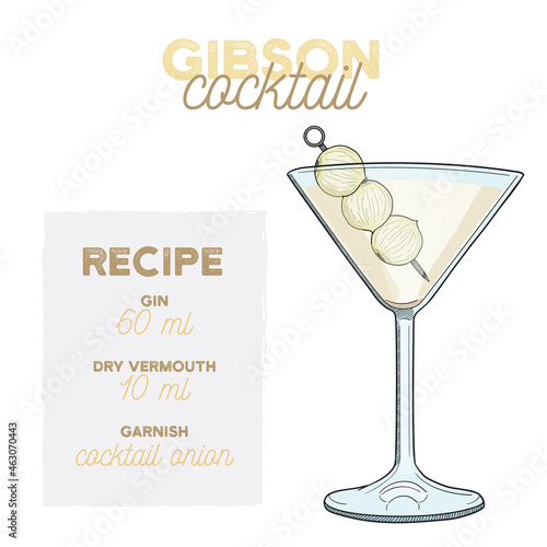 Hand Drawn Colorful Gibson Summer Cocktail. Drink with Ingredients photo