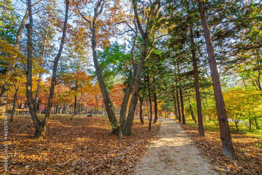 Autumn in South Korea