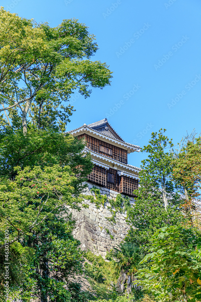 秋の松山城 隠門続櫓 愛媛県松山市 Matsuyama Castle in autumn Kakuremontudukiyagura Ehime-ken Matsuyama city 秋の松山城 隠門続櫓 愛媛県松山市 Matsuyama Castle in autumn Kakuremontudukiyagura Ehime-ken Matsuyama city